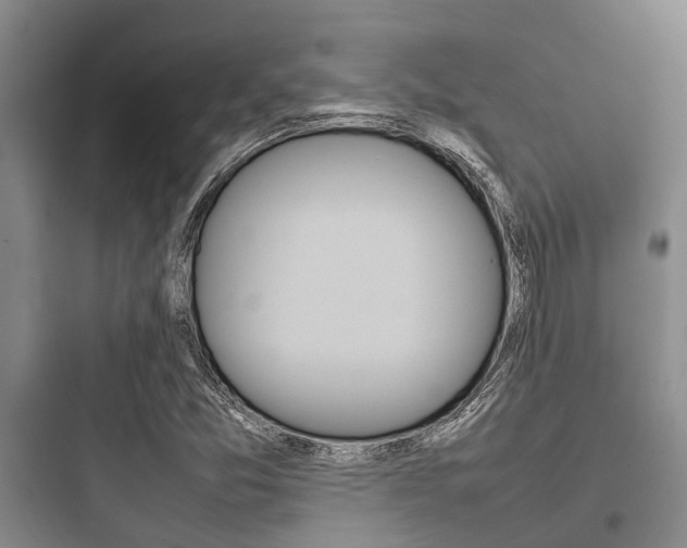X0000097961357200803241032