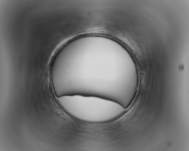 X0000097961358200803241032