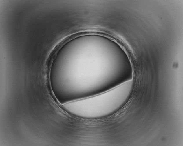 X0000097961360200803241032
