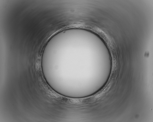 X0000097961361200803241032