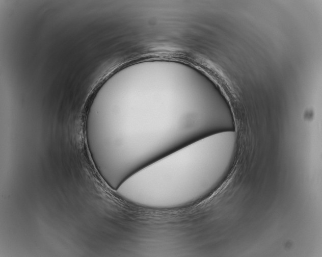 X0000097961362200803241032