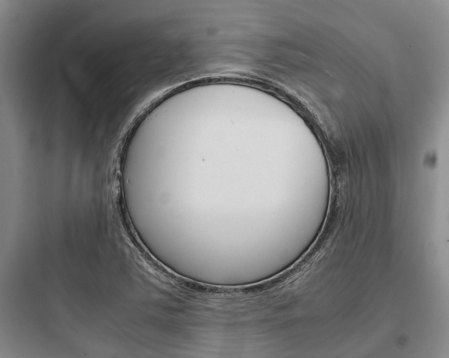 X0000097961363200803241032