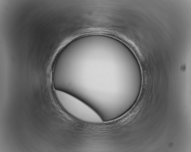 X0000097961365200803241032