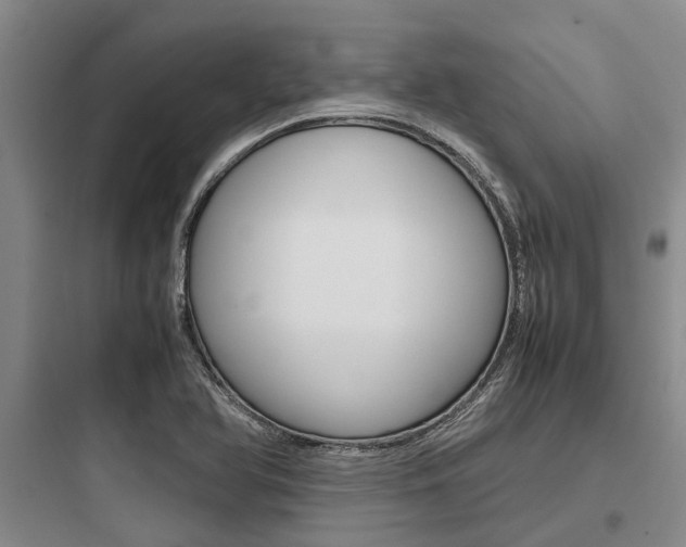 X0000097961366200803241032