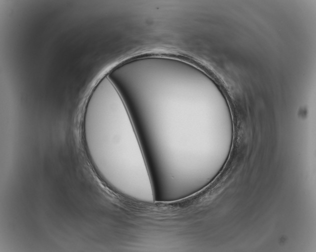 X0000097961367200803241032