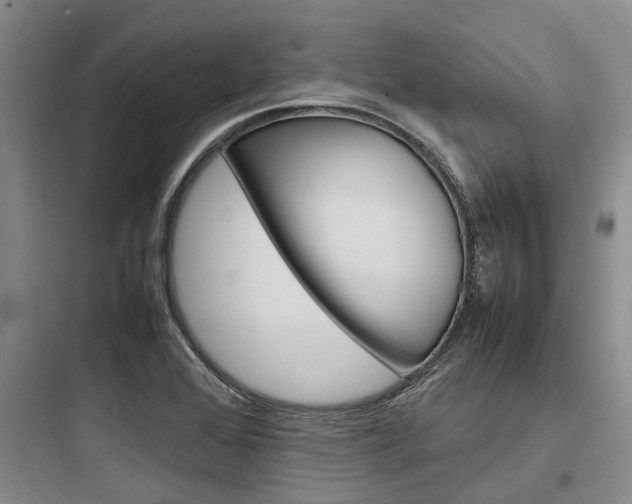X0000097961368200803241032
