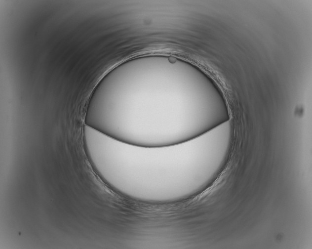 X0000097961369200803241032