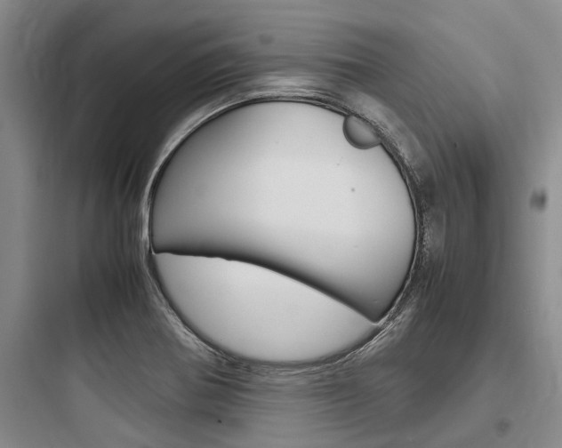 X0000097961370200803241032