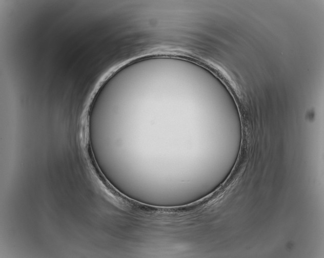 X0000097961371200803241032