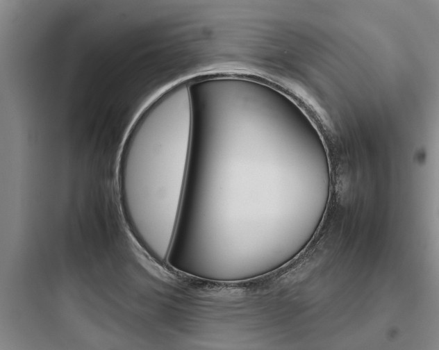 X0000097961372200803241032