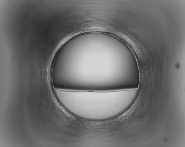 X0000097961373200803241032