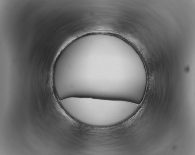 X0000097961374200803241032