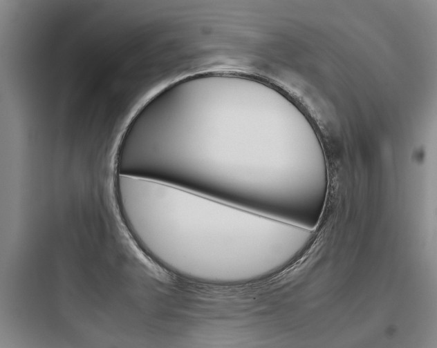 X0000097961375200803241032