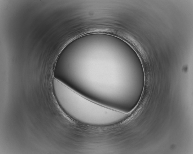 X0000097961377200803241032