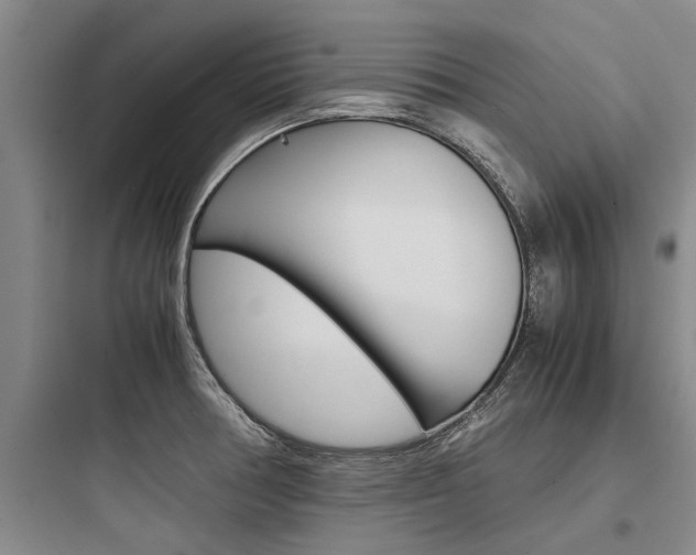 X0000097961378200803241032