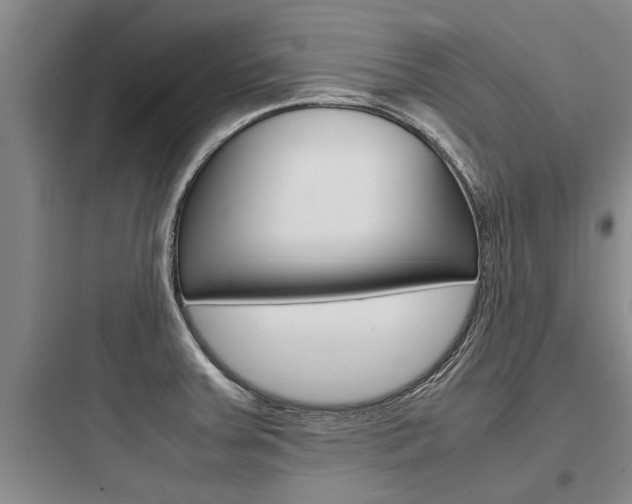 X0000097961379200803241032