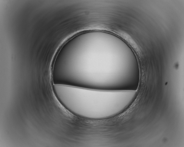 X0000097961380200803241032
