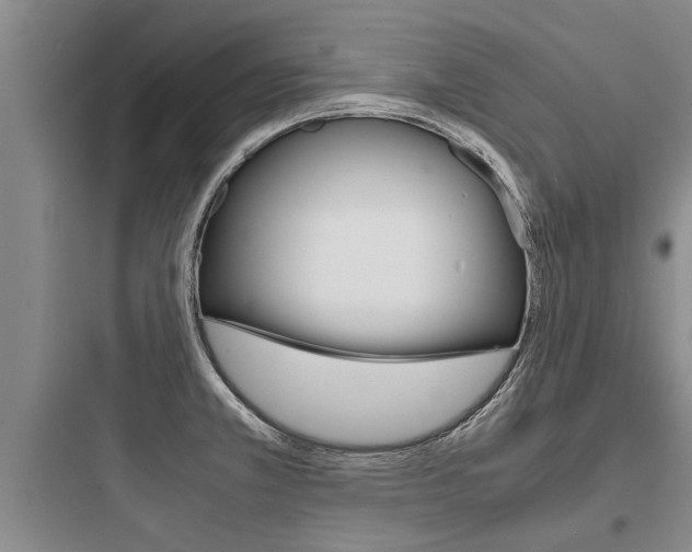 X0000097961381200803241031