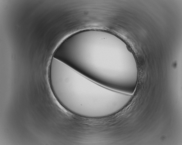 X0000097961383200803241031