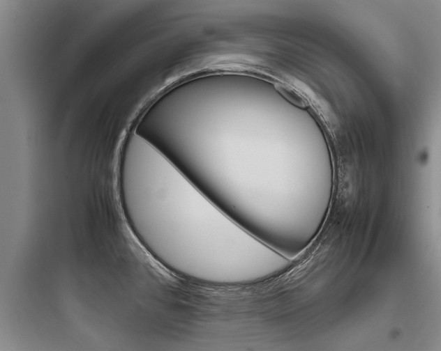 X0000097961384200803241031