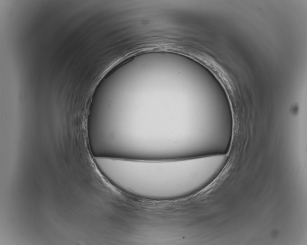 X0000097961385200803241031