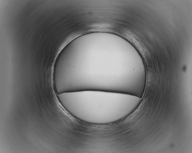 X0000097961386200803241031