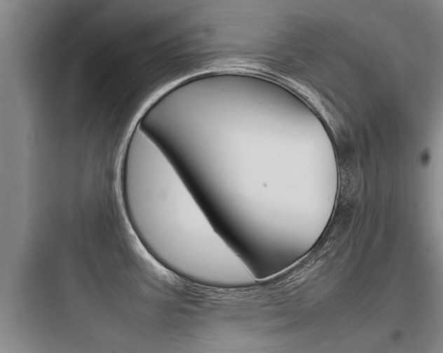 X0000097961387200803241031