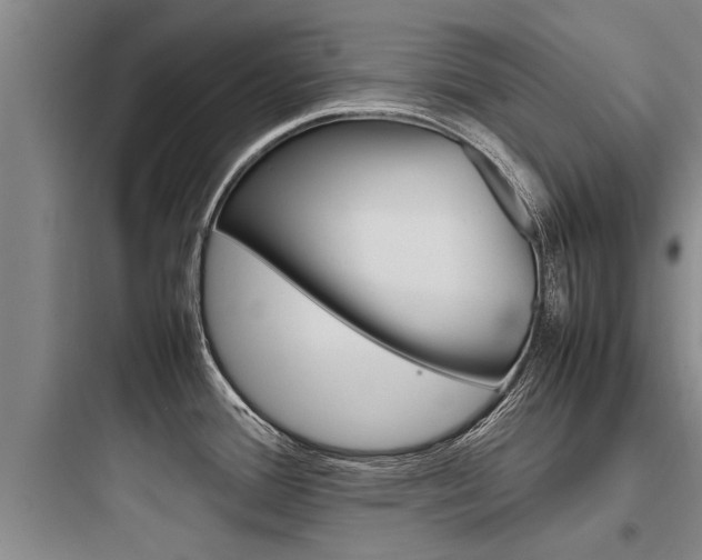 X0000097961388200803241031