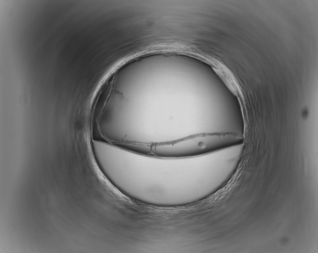 X0000097961389200803241031