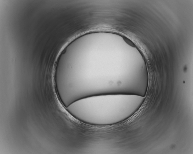 X0000097961390200803241031