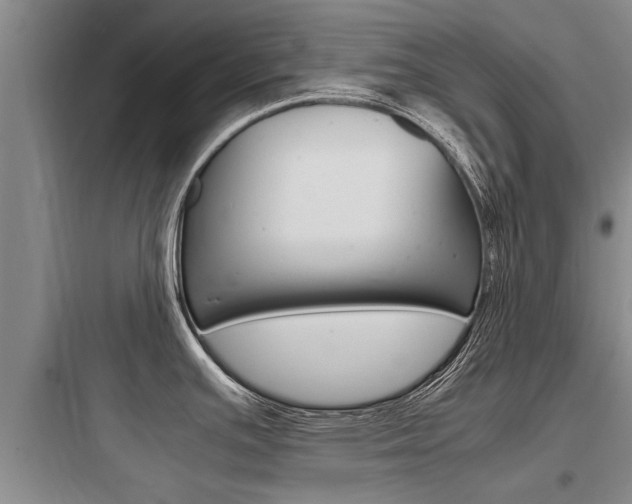 X0000097961391200803241031