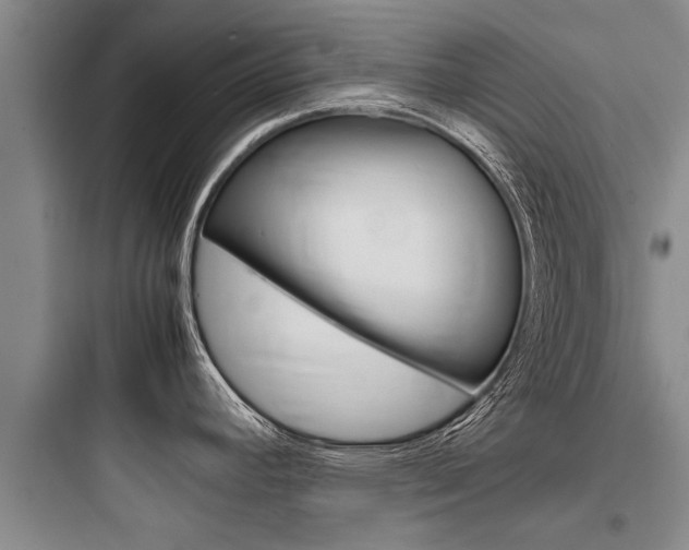 X0000097961392200803241031