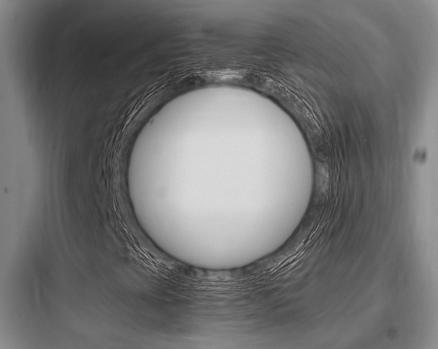 X0000097961393200803241031