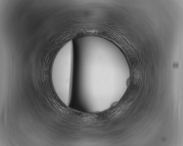 X0000097961394200803241031