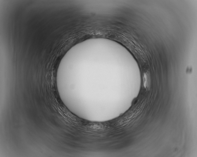 X0000097961395200803241031
