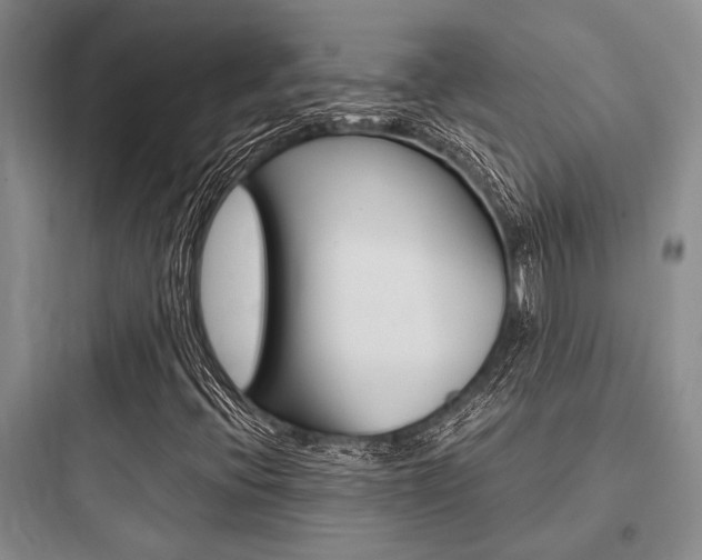 X0000097961396200803241031