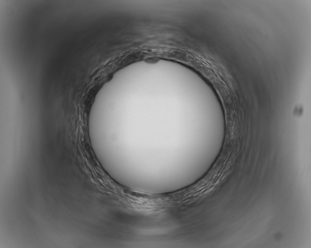 X0000097961397200803241031