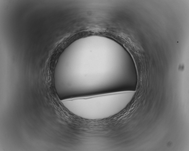 X0000097961398200803241031