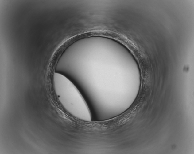 X0000097961400200803241031