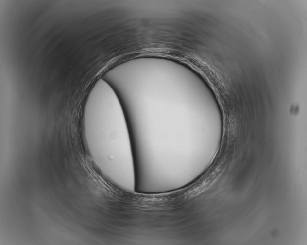 X0000097961401200803241031