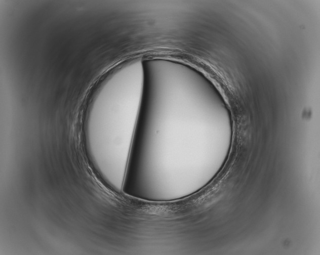 X0000097961402200803241031