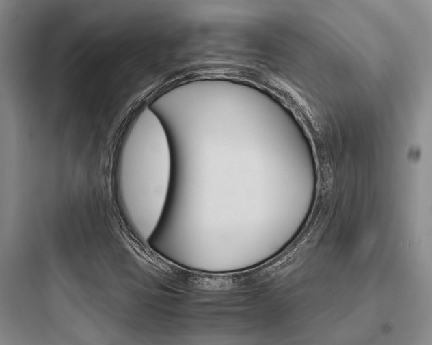 X0000097961403200803241031