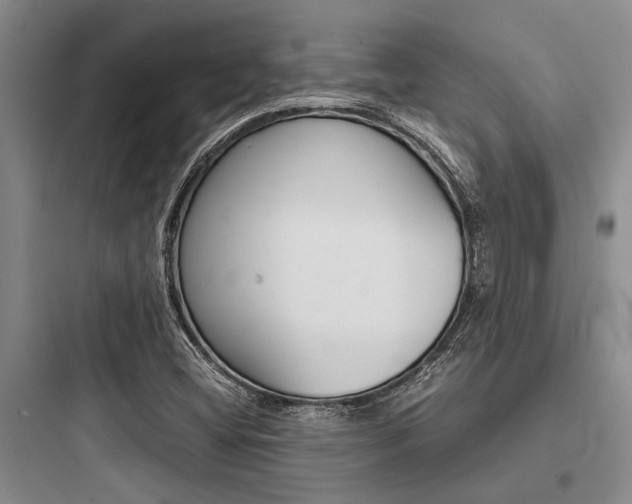 X0000097961404200803241031