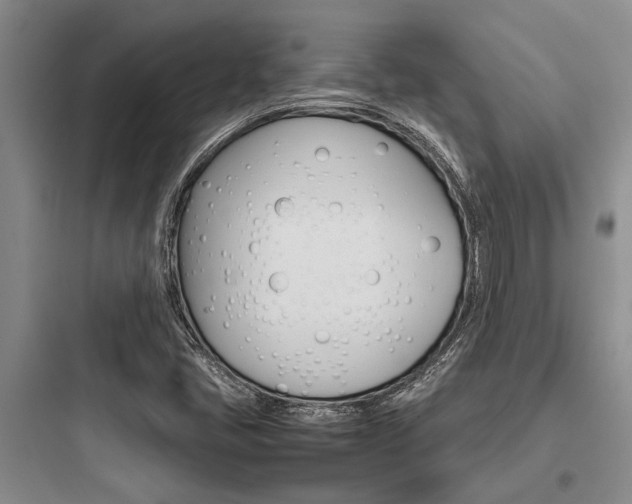 X0000097961405200803241031