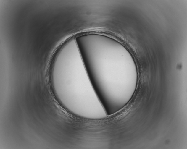 X0000097961406200803241031