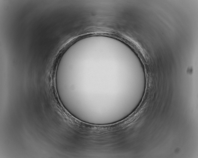 X0000097961407200803241031