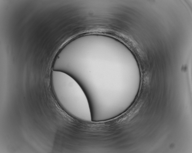 X0000097961409200803241031