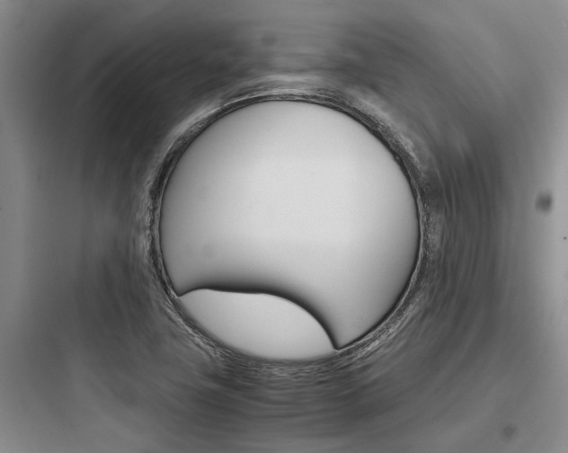 X0000097961411200803241031