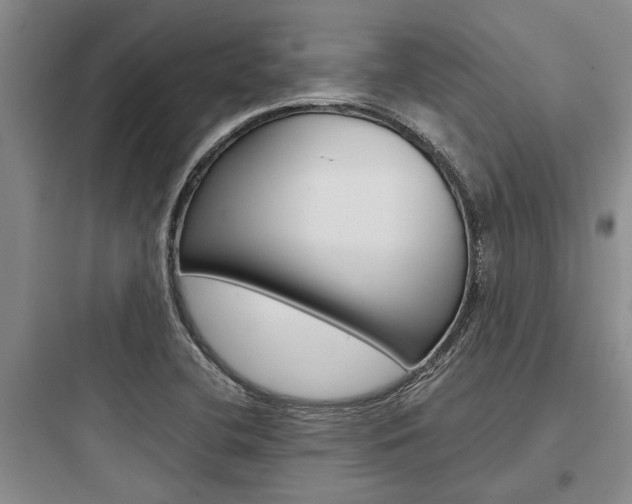 X0000097961412200803241031