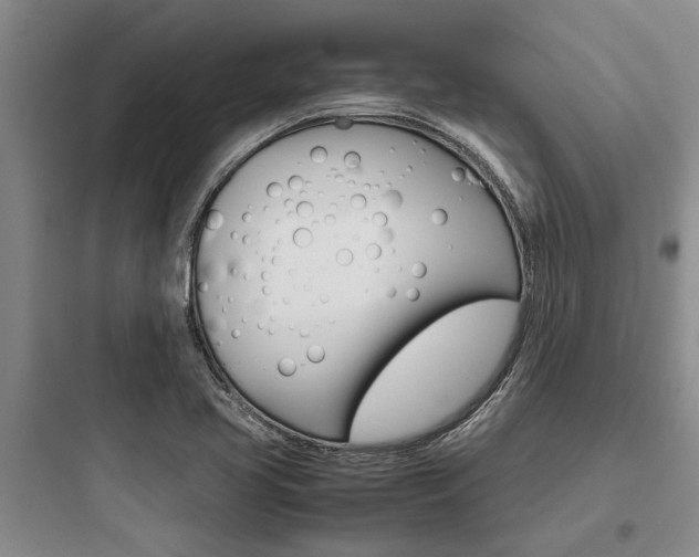 X0000097961413200803241031